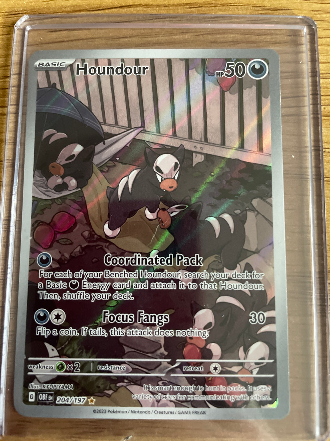 Houndour 204/197