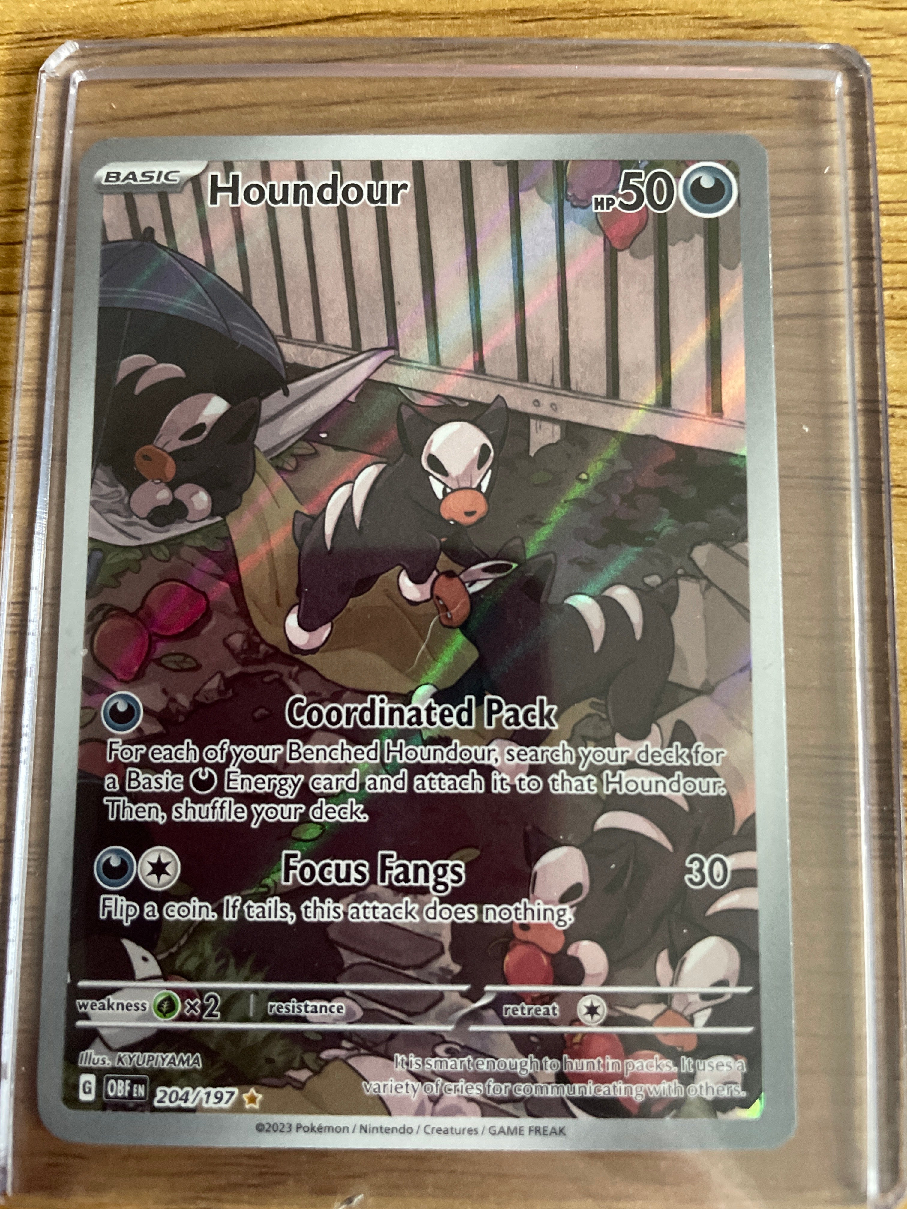 Houndour 204/197